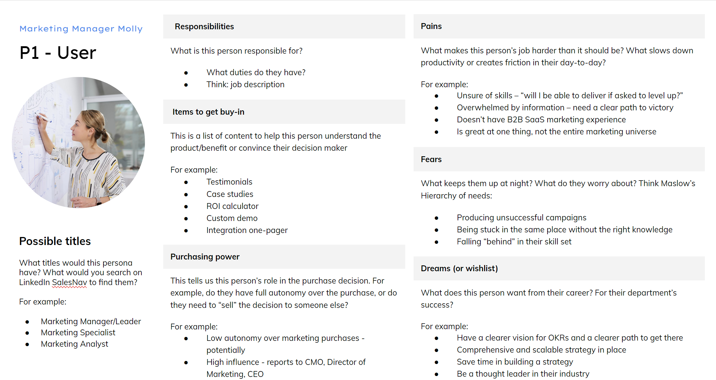 saas buyer personas 1, the user